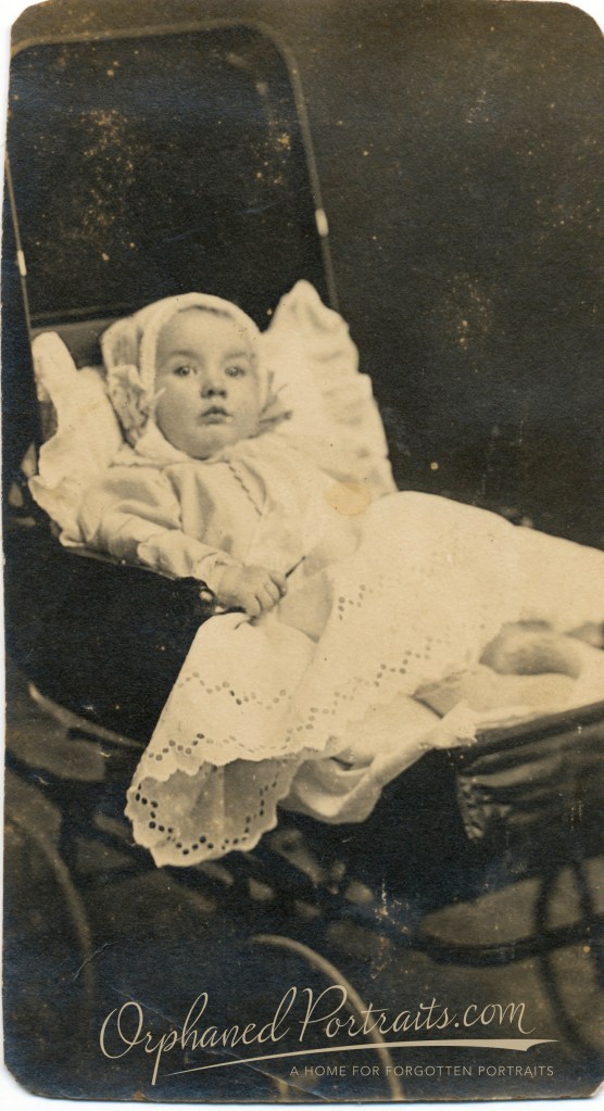 OrphanedPortraits-121214-Helen Stanford Sanpedro